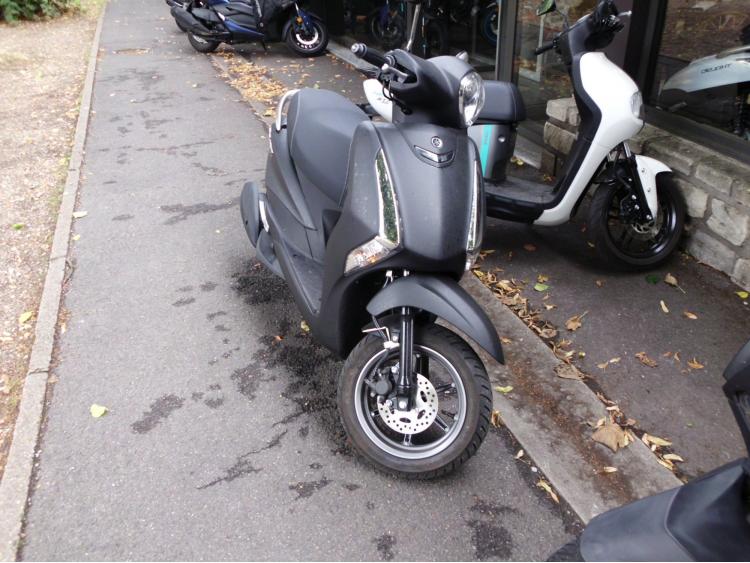 YAMAHA D'ELIGHT